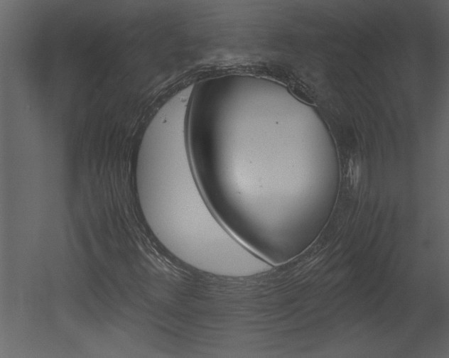 X0000052921348200507080750