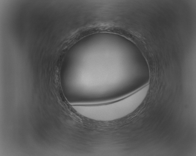 X0000052921349200507080750