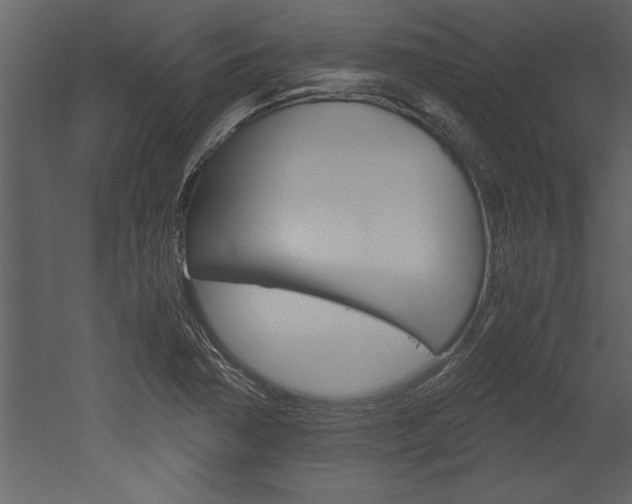 X0000052921362200507080750