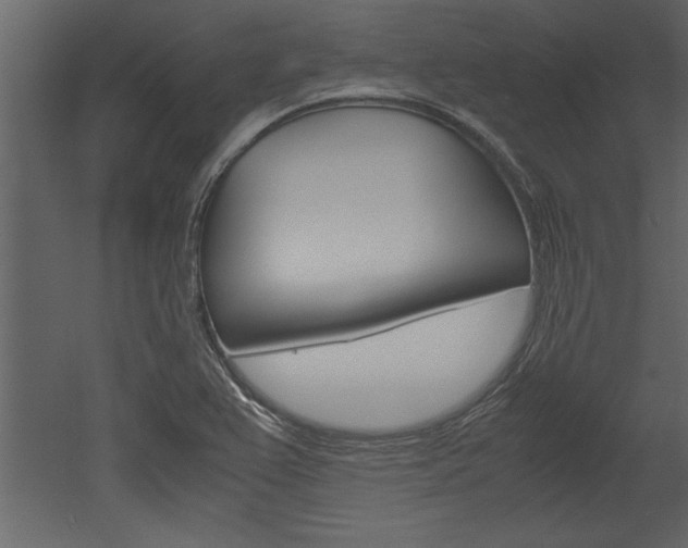 X0000052921367200507080749