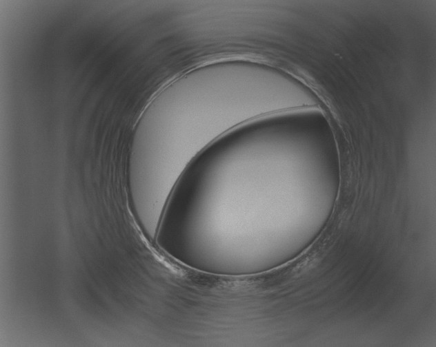 X0000052921377200507080749