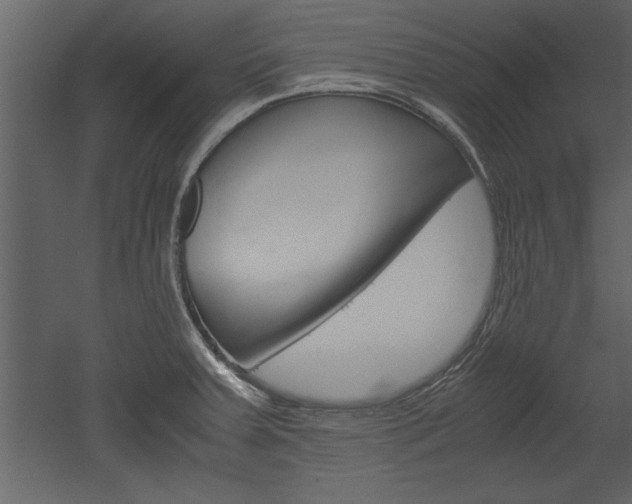X0000052921379200507080749