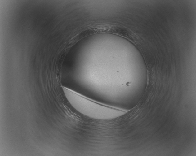 X0000052921394200507080748