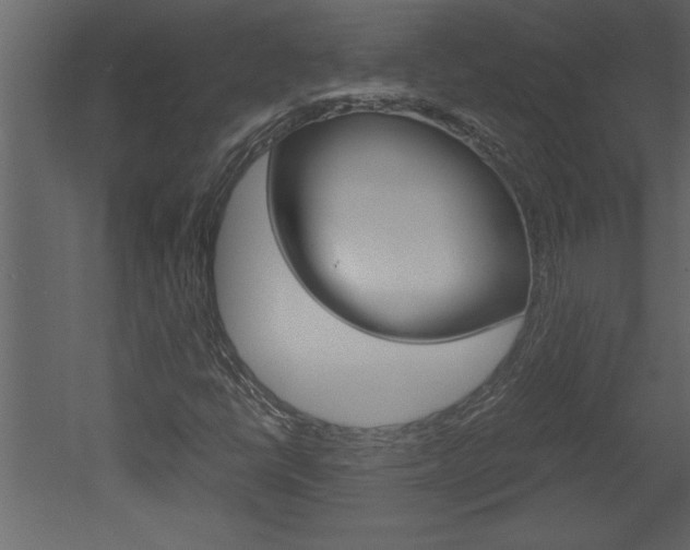 X0000052921398200507080748
