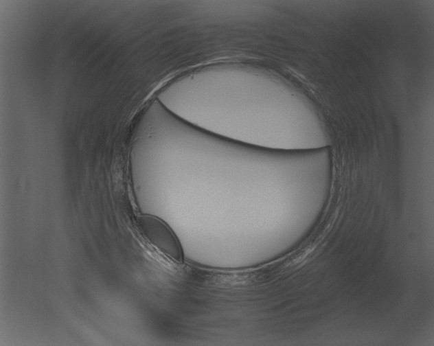 X0000052921401200507080748