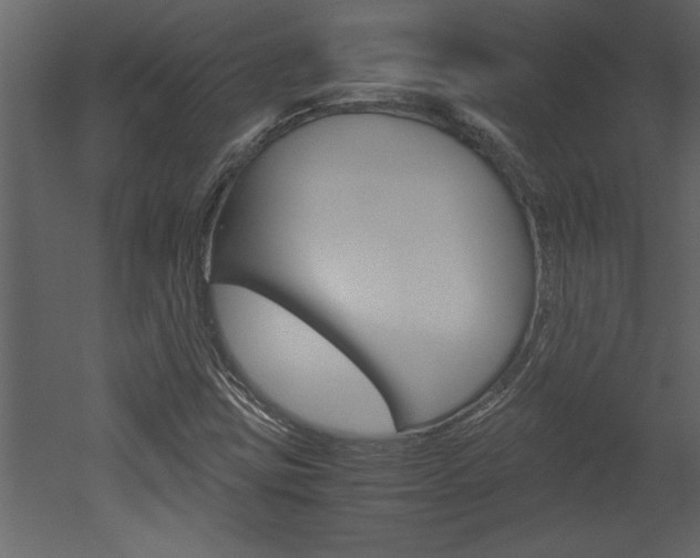 X0000052921403200507080748