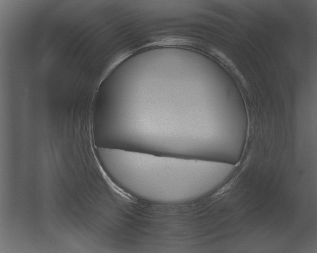 X0000052921425200507080749
