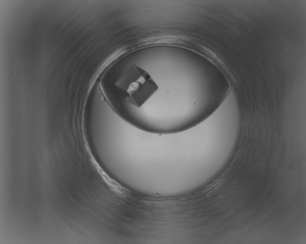 X0000052921426200507080749