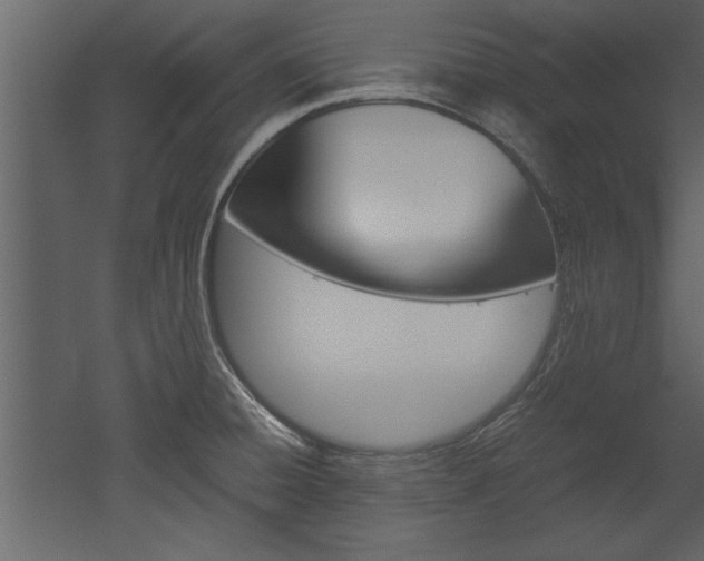 X0000052921428200507080749