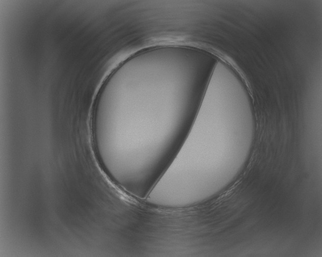 X0000052921432200507080749