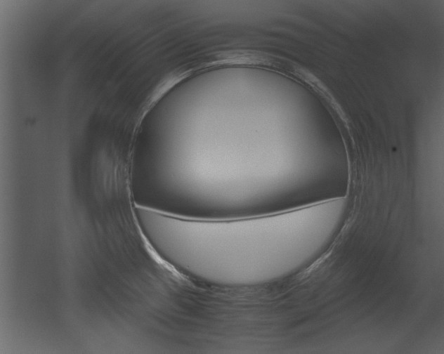 X0000052921433200507080749