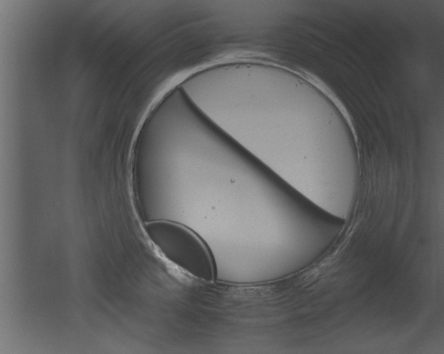 X0000052921437200507080749