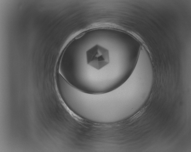X0000052921438200507080749
