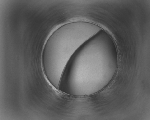 X0000052921440200507080749