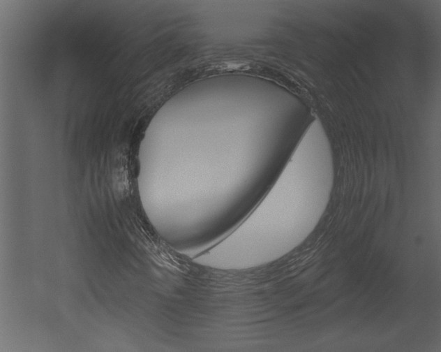 X0000052921442200507080748