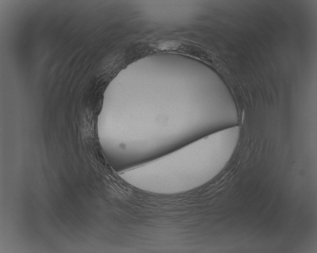 X0000052921443200507080748