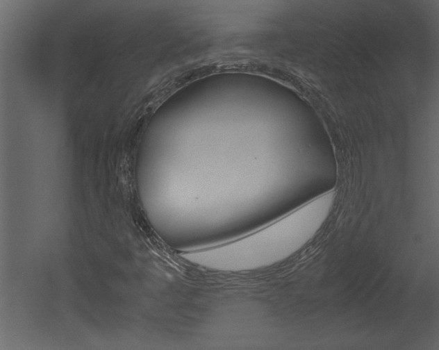 X0000052921445200507080748
