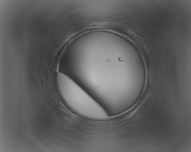 X0000052921449200507080748