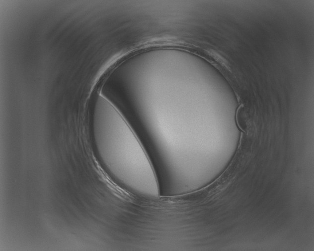 X0000052921458200507080748