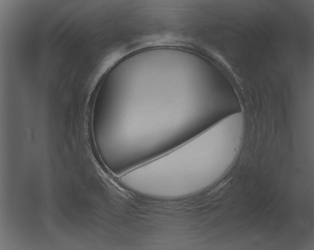 X0000052921463200507080748