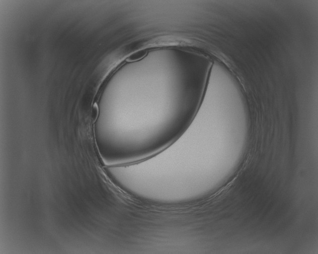 X0000052921465200507080748