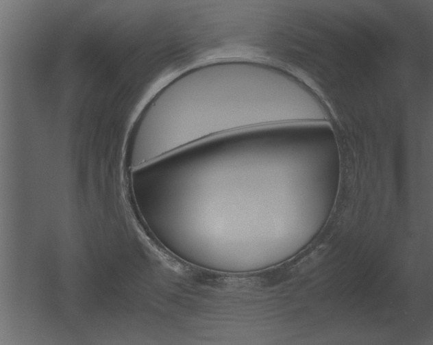 X0000052921469200507080748