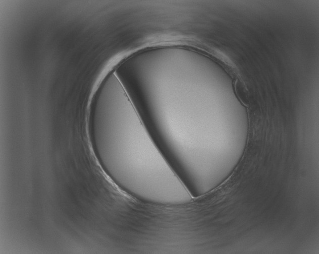 X0000052921472200507080748
