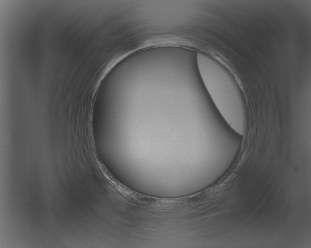 X0000052921481200507080747