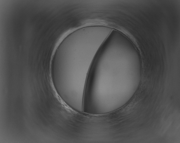 X0000052921488200507080747