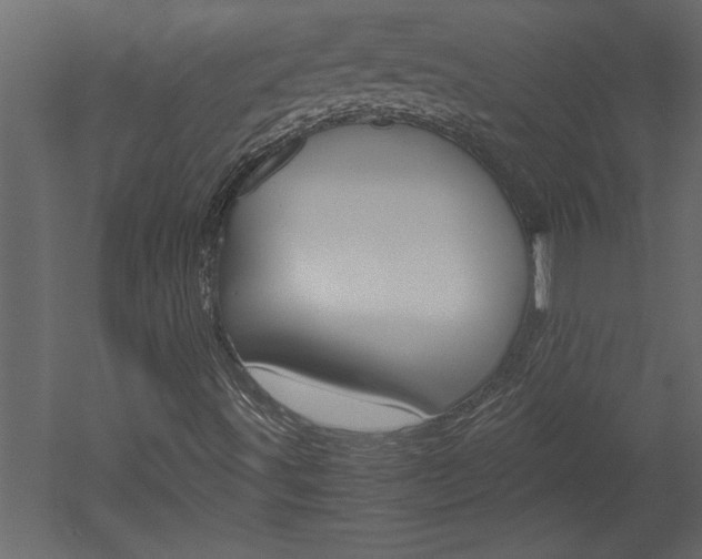 X0000052921491200507080747