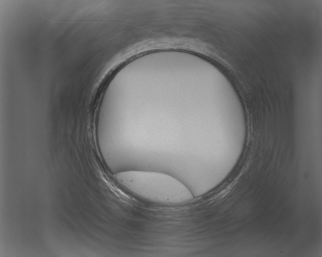 X0000052921498200507080747