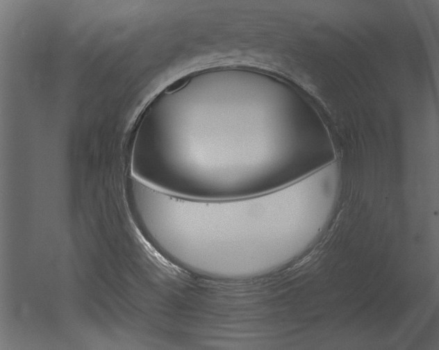 X0000052921500200507080747