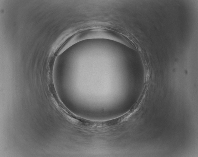 X0000052920101200507081103