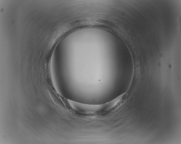 X0000052920111200507081103