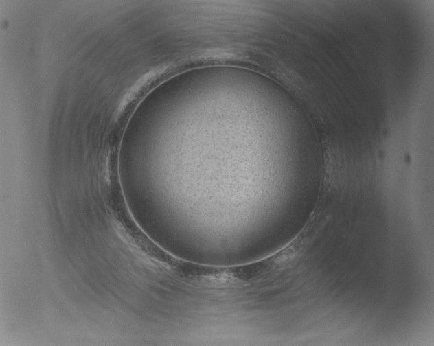 X0000052920112200507081103