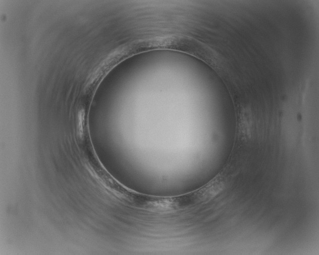 X0000052920118200507081103