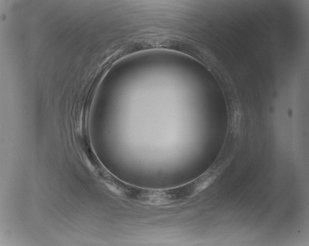 X0000052920121200507081103