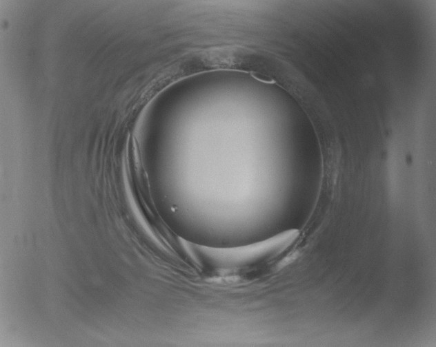 X0000052920125200507081103