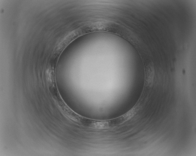 X0000052920126200507081103