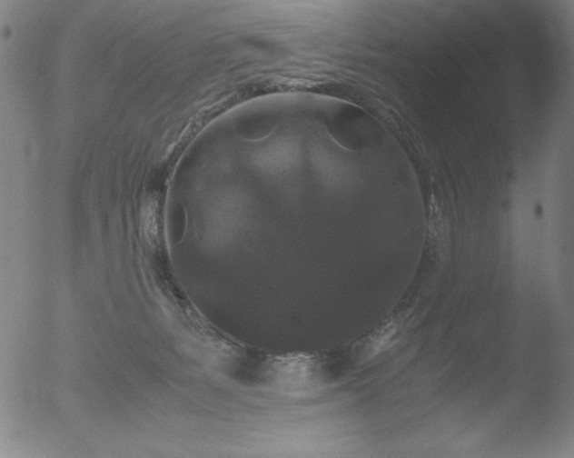 X0000052920127200507081103