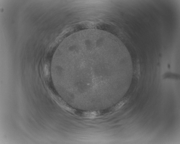 X0000052920131200507081103