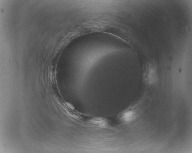 X0000052920231200507081101