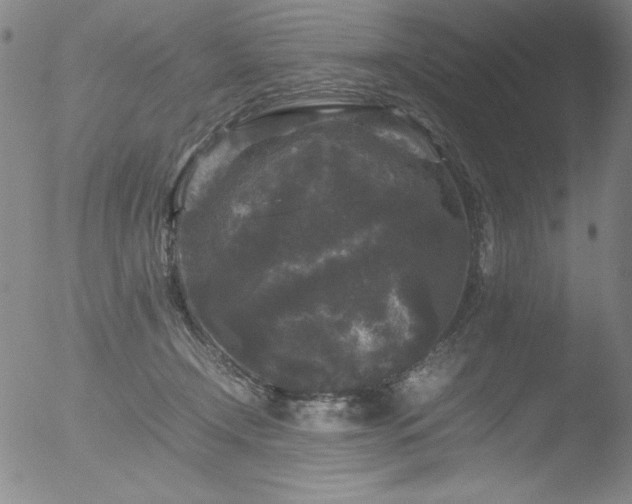 X0000052920366200507081059
