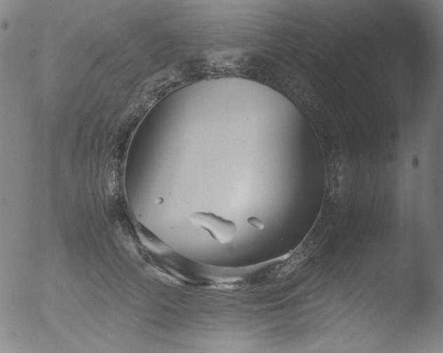X0000052920706200507081053
