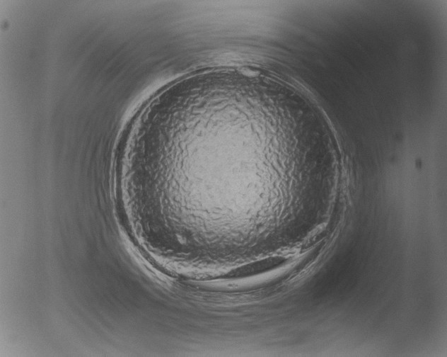 X0000052920795200507081051