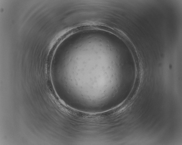 X0000052920831200507081051