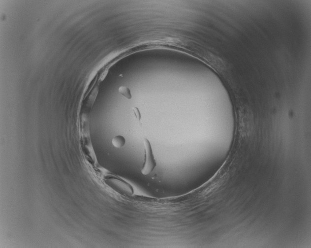 X0000052921036200507081048