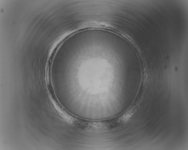 X0000052921128200507081046