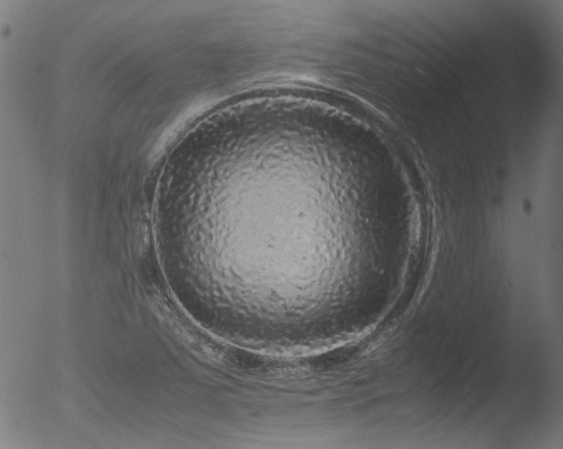 X0000052921363200507081042