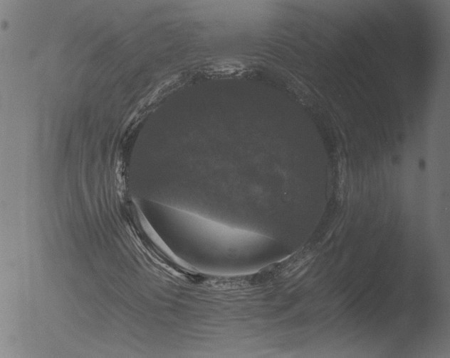 X0000052921394200507081041